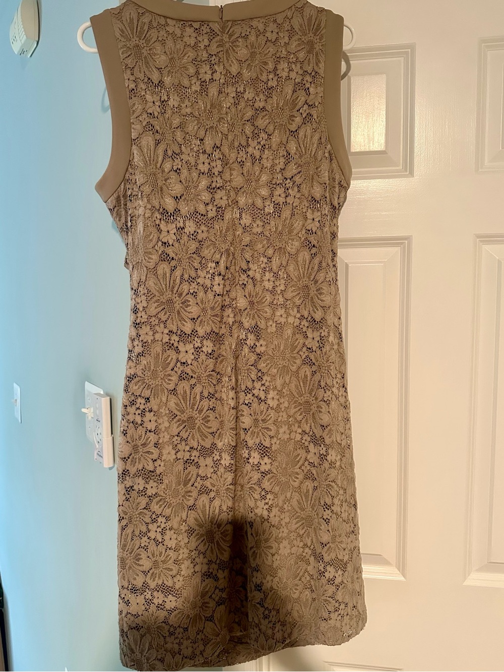 Calvin Klein Taupe Floral Lace Drape Mini Dress - Picture 2 of 2